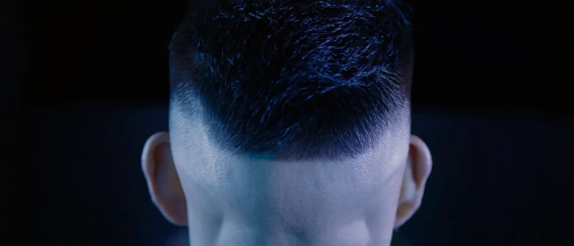 Macro photograph of the back of a freshly cut high fade, dense hair on top blending down into bare skin at the nape